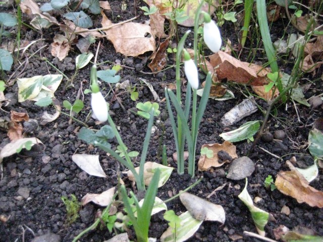 Only three so far.......