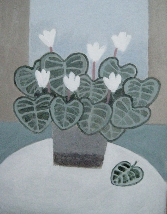 White cyclamen